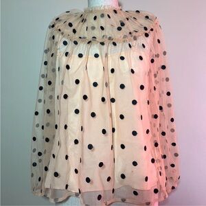 J. Crew Sheer Blouse with Black Polka Dots